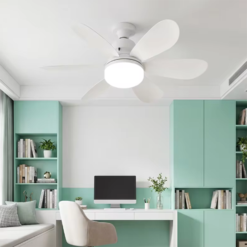 2026年新型E26/E27ネジ式ファンライト、20.5イン - Ceiling Fan Mount のレビューと価格